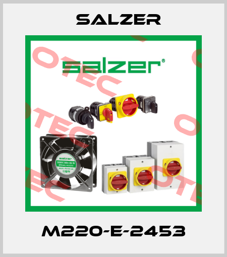 M220-E-2453 Salzer