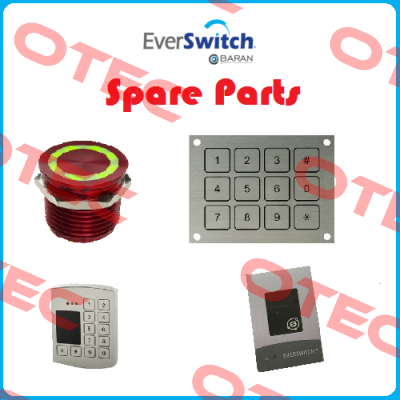 SMA2ABW2N Everswitch