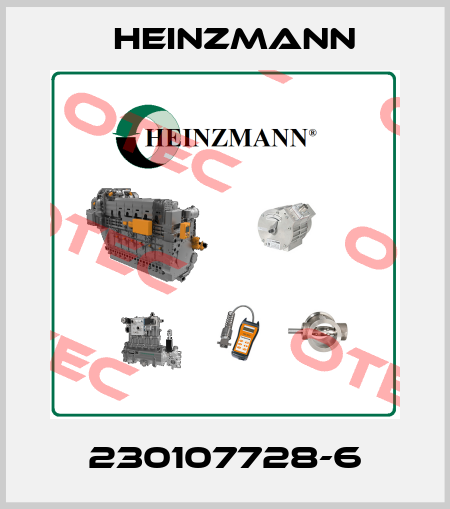 230107728-6 Heinzmann