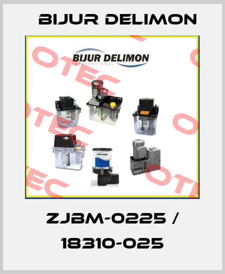 ZJBM-0225 / 18310-025 Bijur Delimon