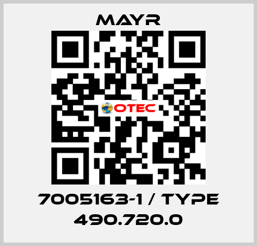7005163-1 / Type 490.720.0 Mayr