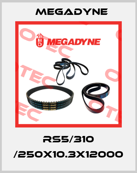 RS5/310 /250X10.3X12000 Megadyne