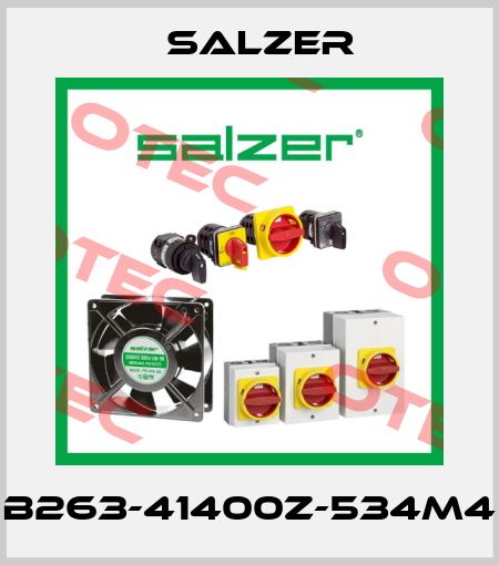 B263-41400Z-534M4 Salzer