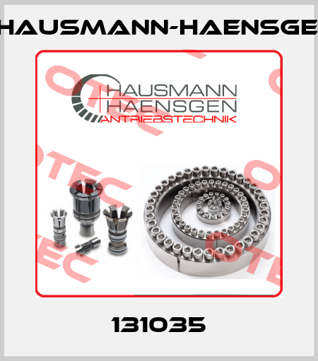131035 Hausmann-Haensgen