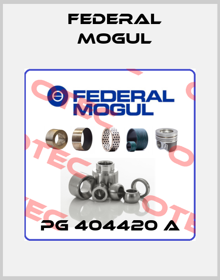PG 404420 A Federal Mogul