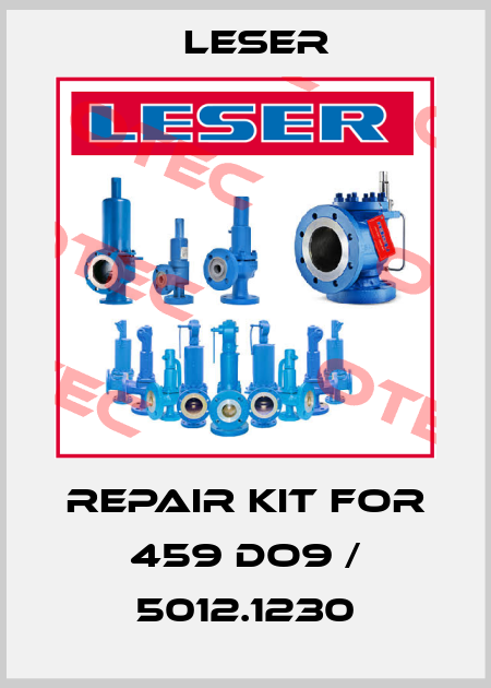 repair kit for 459 do9 / 5012.1230 Leser