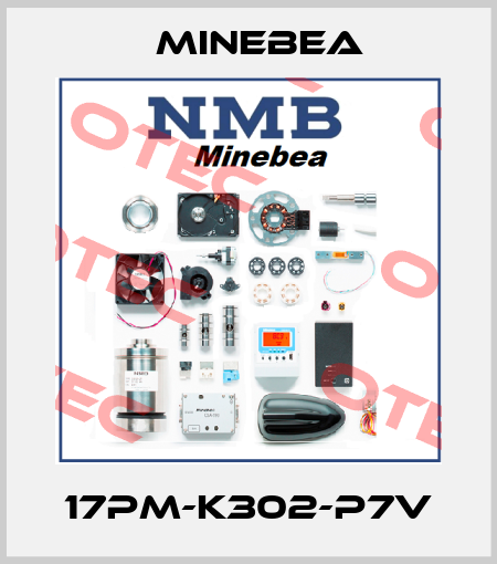 17PM-K302-P7V Minebea
