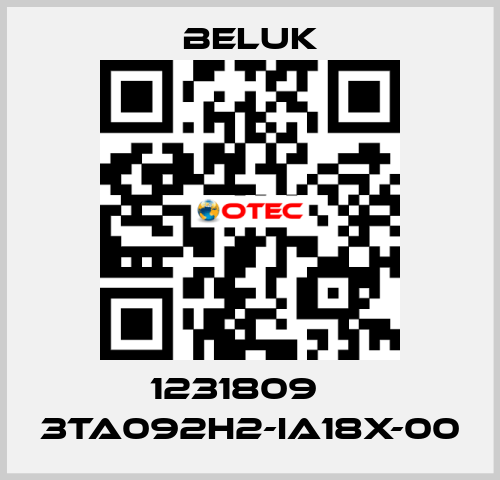 1231809    3TA092H2-IA18X-00 Beluk