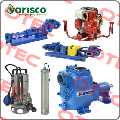 ITEM# 75 Varisco pumps