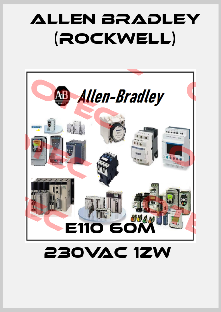 E110 60m 230VAC 1ZW  Allen Bradley (Rockwell)