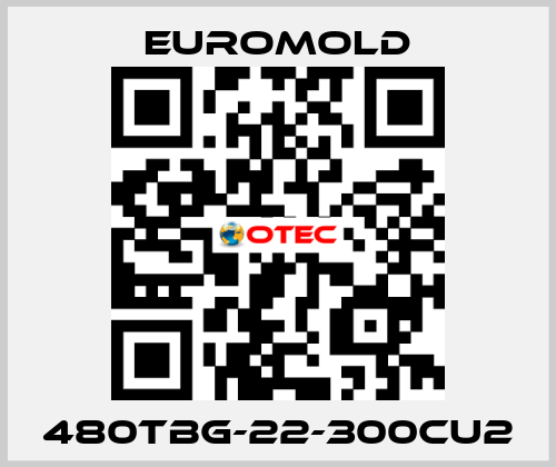 480TBG-22-300CU2 EUROMOLD
