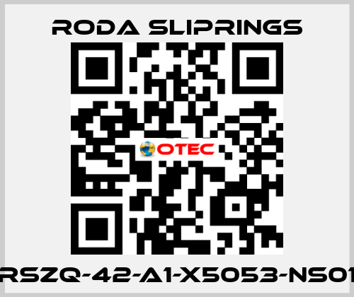RSZQ-42-A1-X5053-NS01 Roda Sliprings