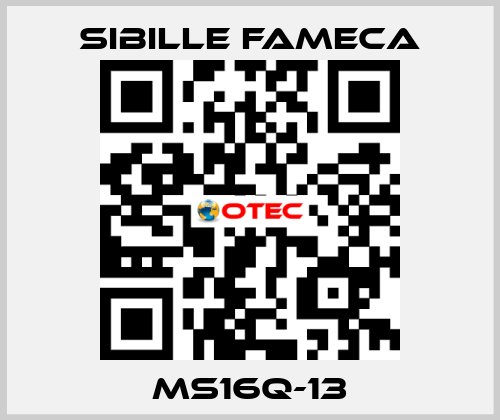 MS16Q-13 Sibille Fameca