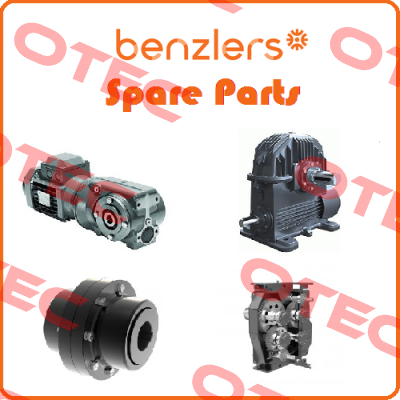 Elastic elements for 2245 5268-1 / DS6 Benzlers