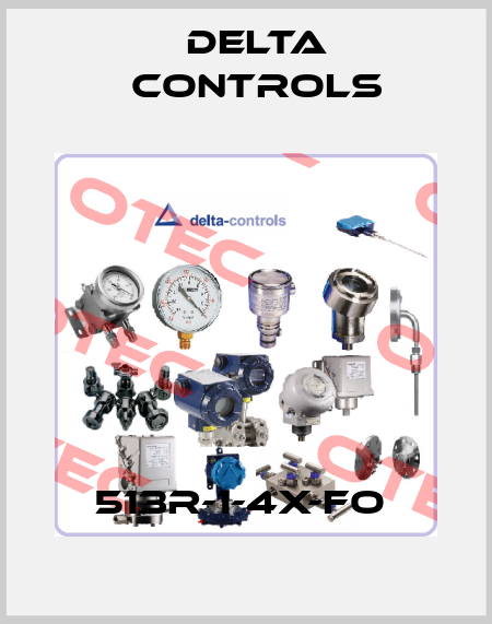 513R-1-4X-FO  Delta Controls