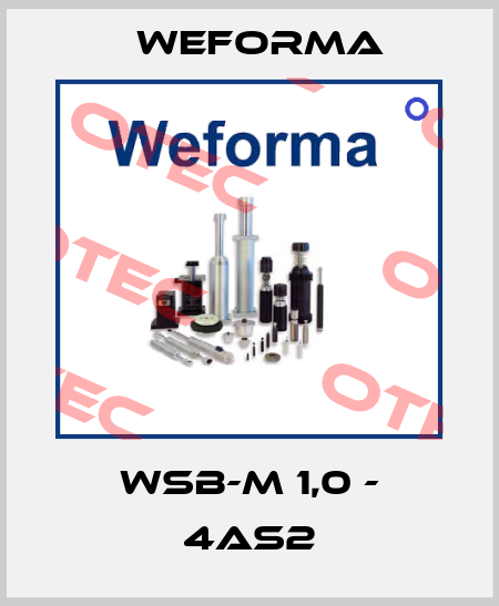WSB-M 1,0 - 4AS2 Weforma