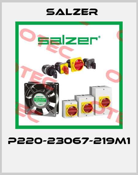 P220-23067-219M1  Salzer