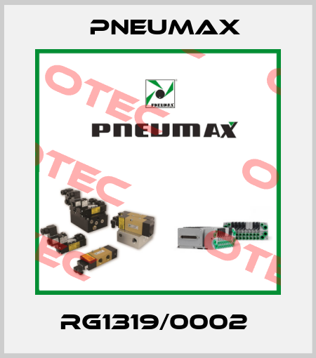 RG1319/0002  Pneumax
