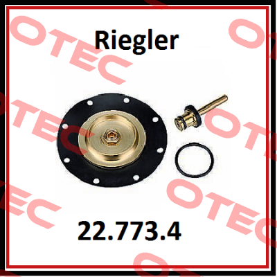 22.773.4 / 100915 Riegler