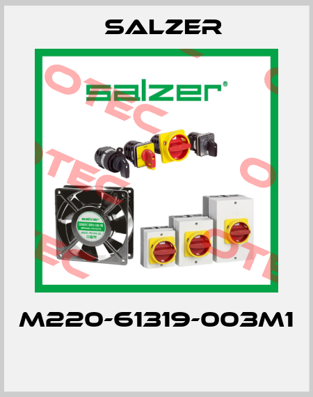 M220-61319-003M1  Salzer