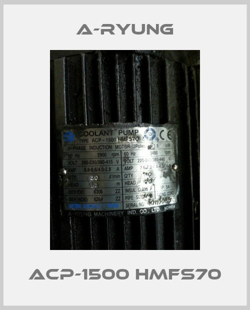 ACP-1500 HMFS70-big
