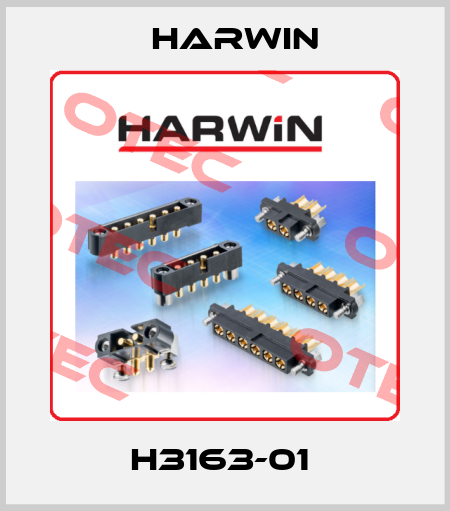 H3163-01  Harwin