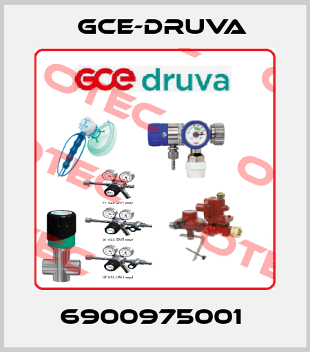 6900975001  Gce-Druva
