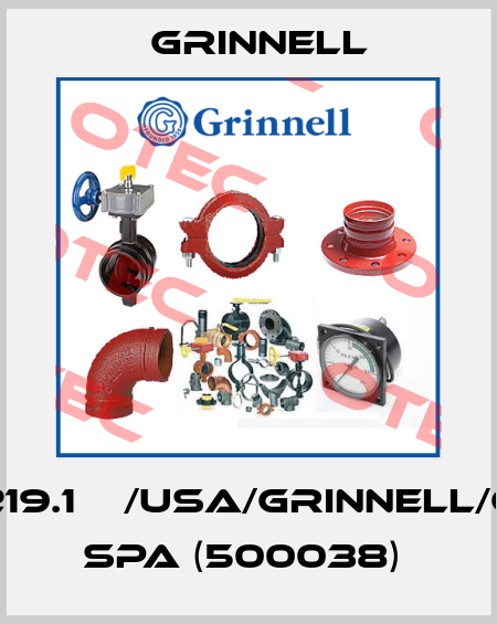 8“/219.1ММ/USA/GRINNELL/G/4/ SPA (500038)  Grinnell