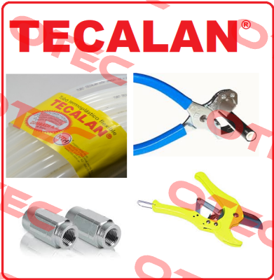  AF GE 8   Tecalan