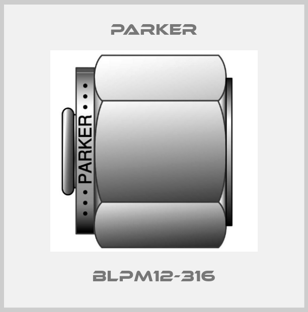BLPM12-316-big