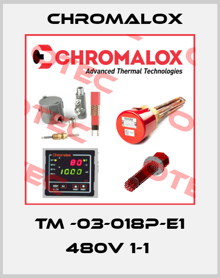 TM -03-018P-E1 480V 1-1  Chromalox