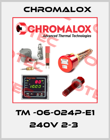 TM -06-024P-E1 240V 2-3  Chromalox