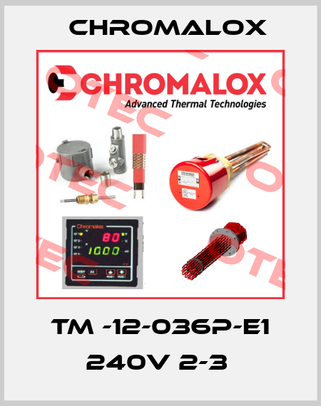 TM -12-036P-E1 240V 2-3  Chromalox