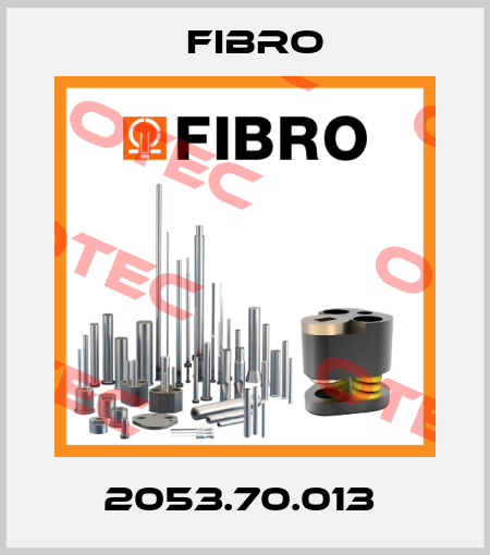 2053.70.013  Fibro