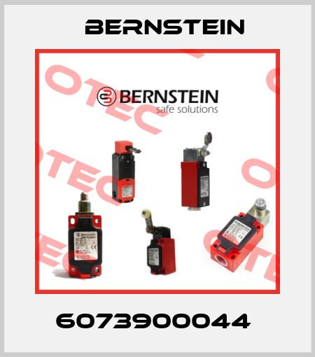 6073900044  Bernstein