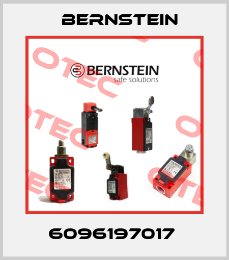 6096197017  Bernstein
