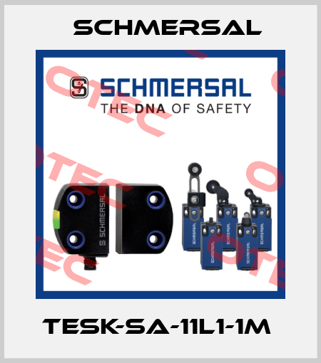 TESK-SA-11L1-1M  Schmersal
