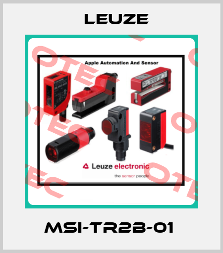 MSI-TR2B-01  Leuze