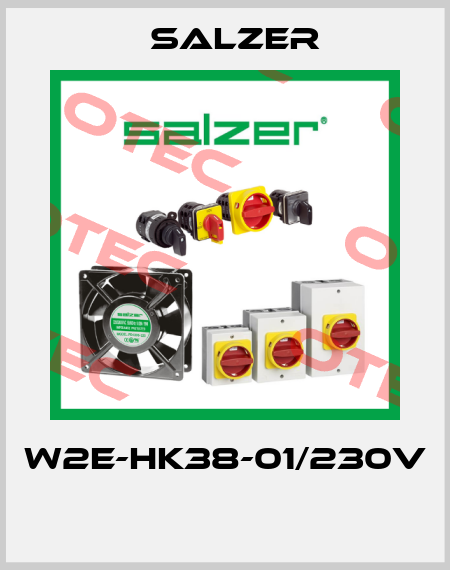 W2E-HK38-01/230V  Salzer