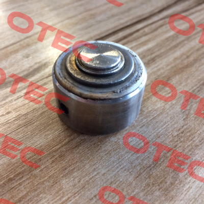 00011202  Burkert