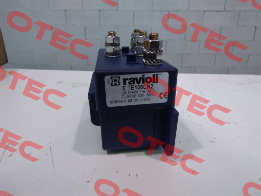 ETE106CN2 Ravioli