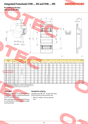 P/N: 4867-066300-040H33, Type: FXM 66-25 NX Ringspann