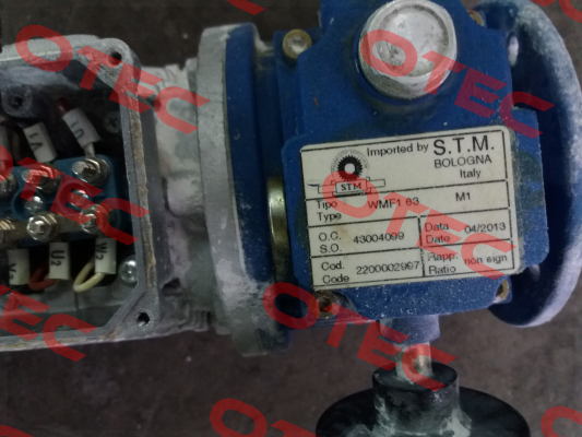 TYPE: WMF1 63  Stm
