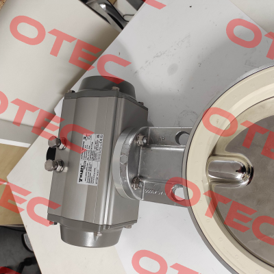 DKZ 110/DN 250 /// 179899/2020 Warex
