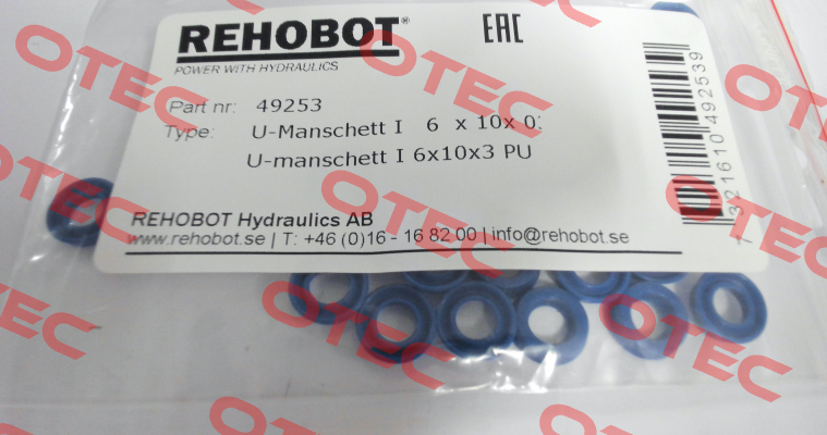 49253 Rehobot