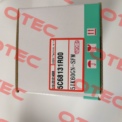 5IK60GN-SFM Sesame Motor