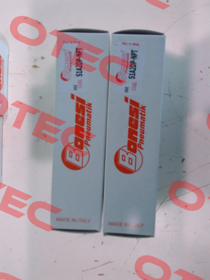 S1A2DP-NPT Bonesi Pneumatic
