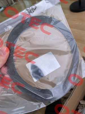 SEALING RING 45.60.7 (seal)  code 00001543 SITI