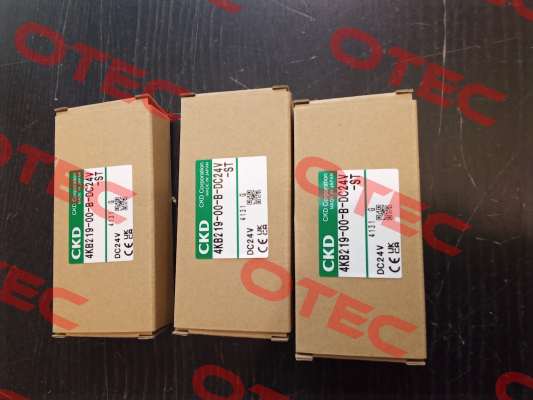 4KB219-00-B-DC24V-ST Ckd