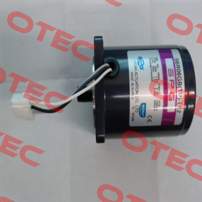 S6R06GB(TP)-L62 Spg Motor